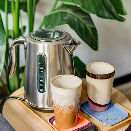 Canal House With Garden * Amsterdam